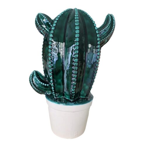 Cactus Trinacria