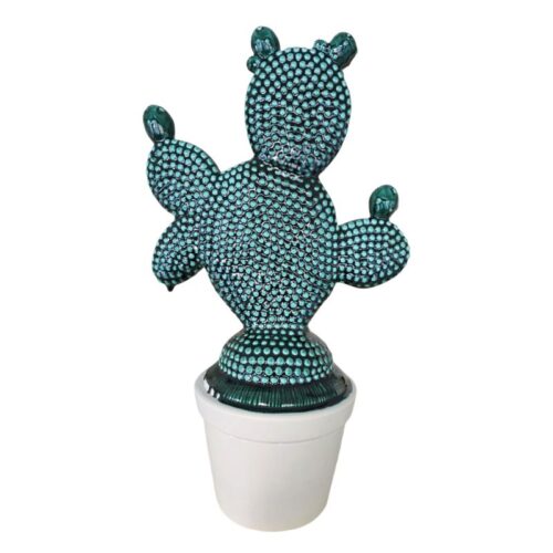 Cactus Vulcano